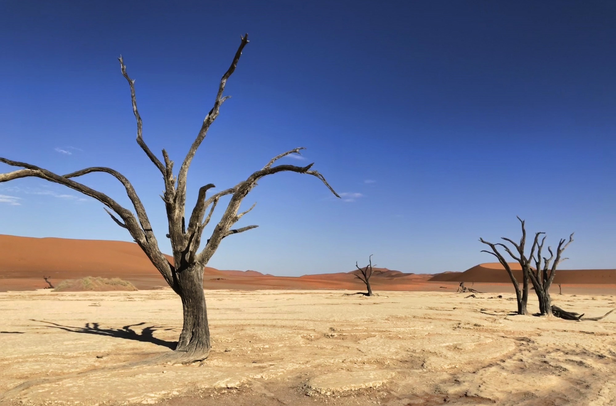 Deadvlei e Sossuvslei na Namíbia