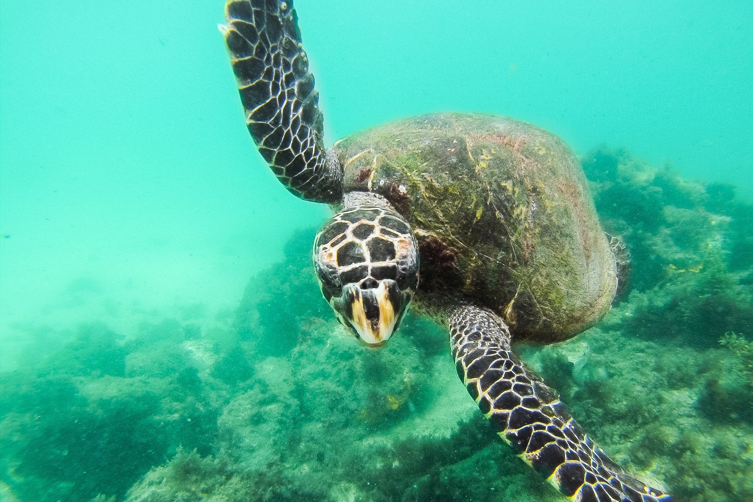 Mergulho em Arraial do Cabo