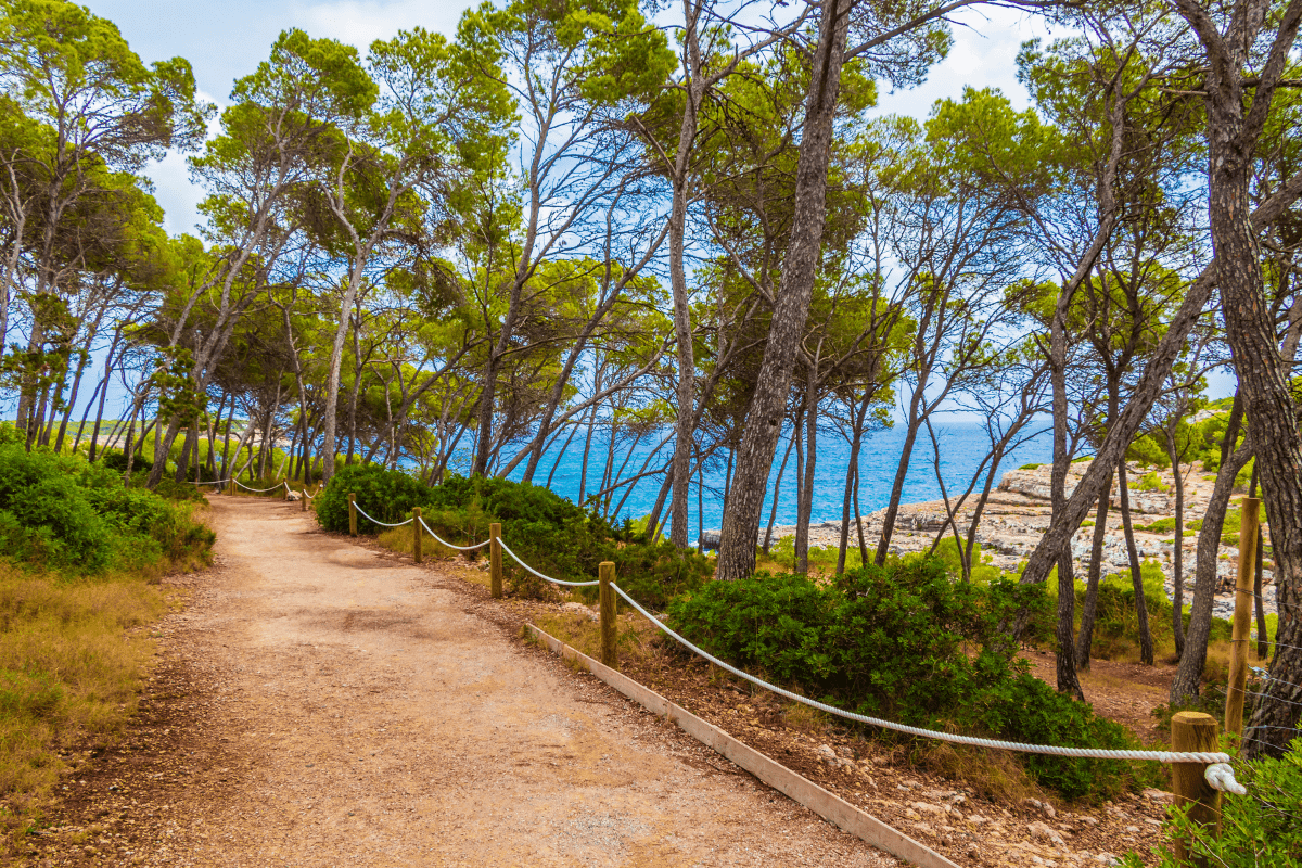 PARC NATURAL DE MONDRAGÓ