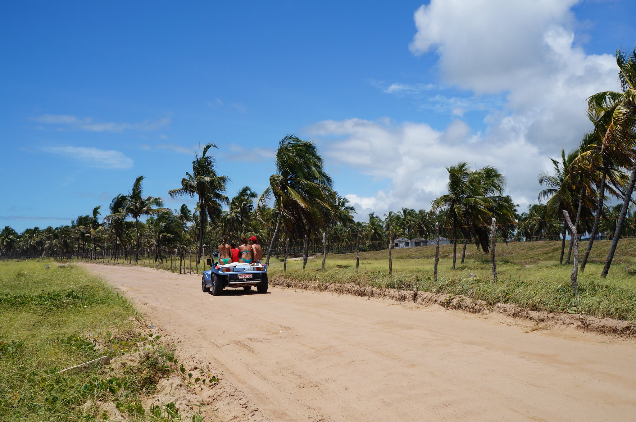 Passeio de buggy Porto de Galinhas