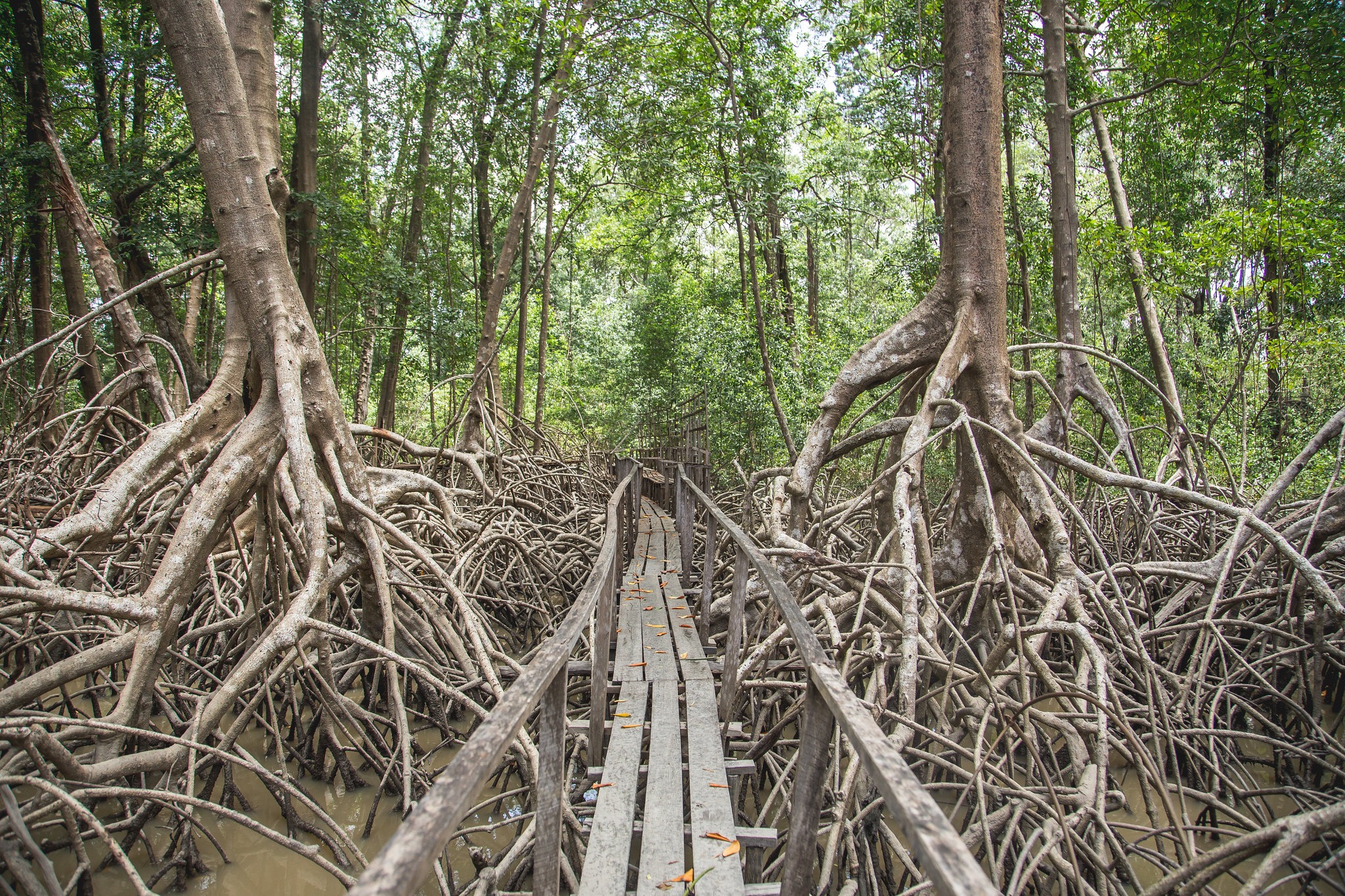 Fazenda São Jerônimo, Ilha de Marajó