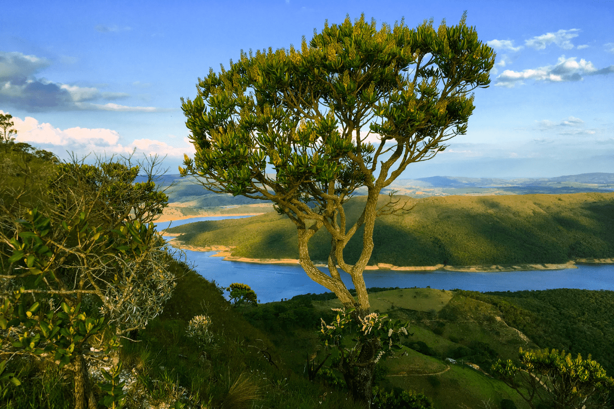 Vista do Morro do Chapéu em Capitólio