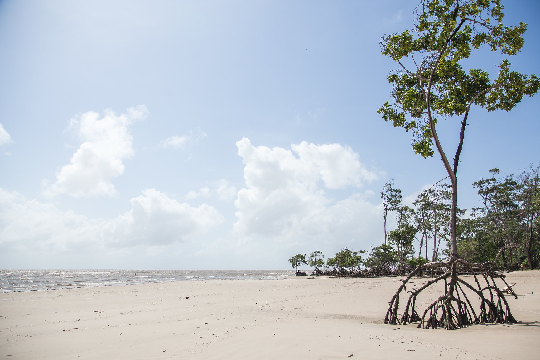 Praia da Barra Velha, Soure, Pará