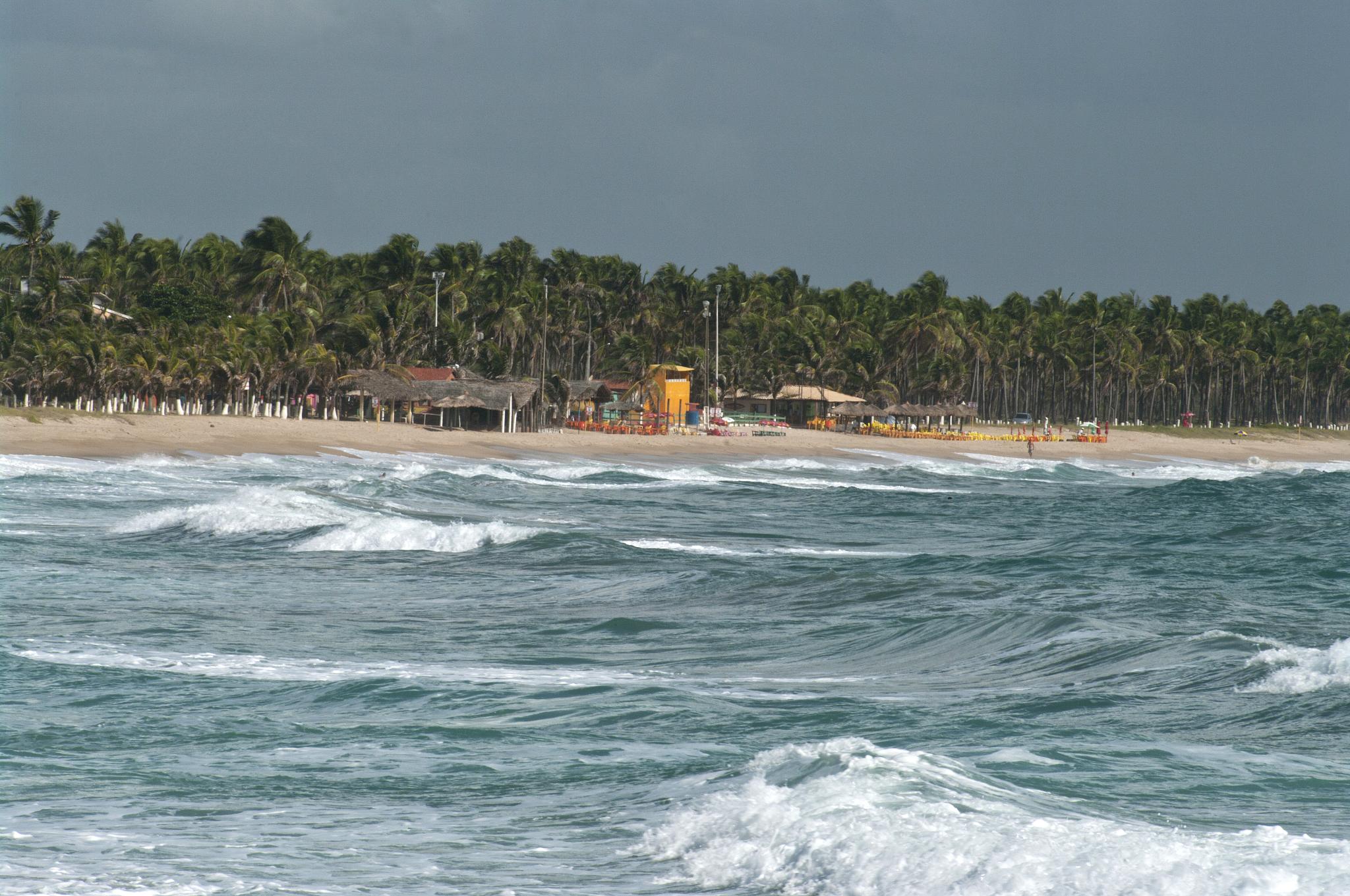 Praia e Pontal de Maracaípe