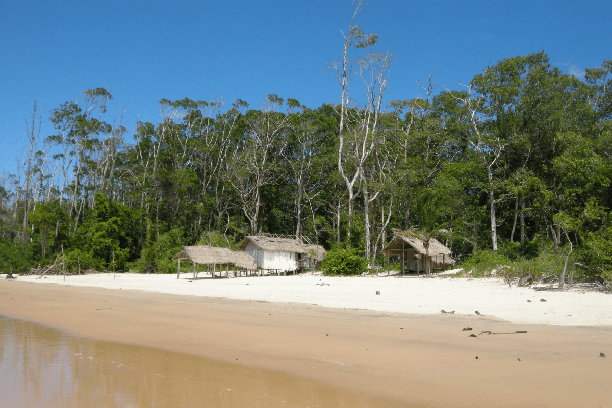 Destinos brasileiros únicos: Ilha de Marajó