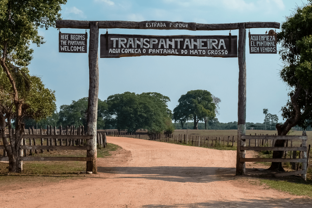 Transpantaneira