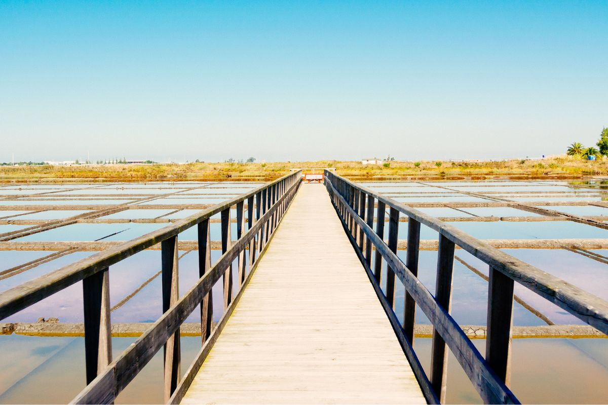 O que fazer em 1 dia em Aveiro, Portugal salinas de aveiro - O que fazer em 1 dia em Aveiro, Portugal