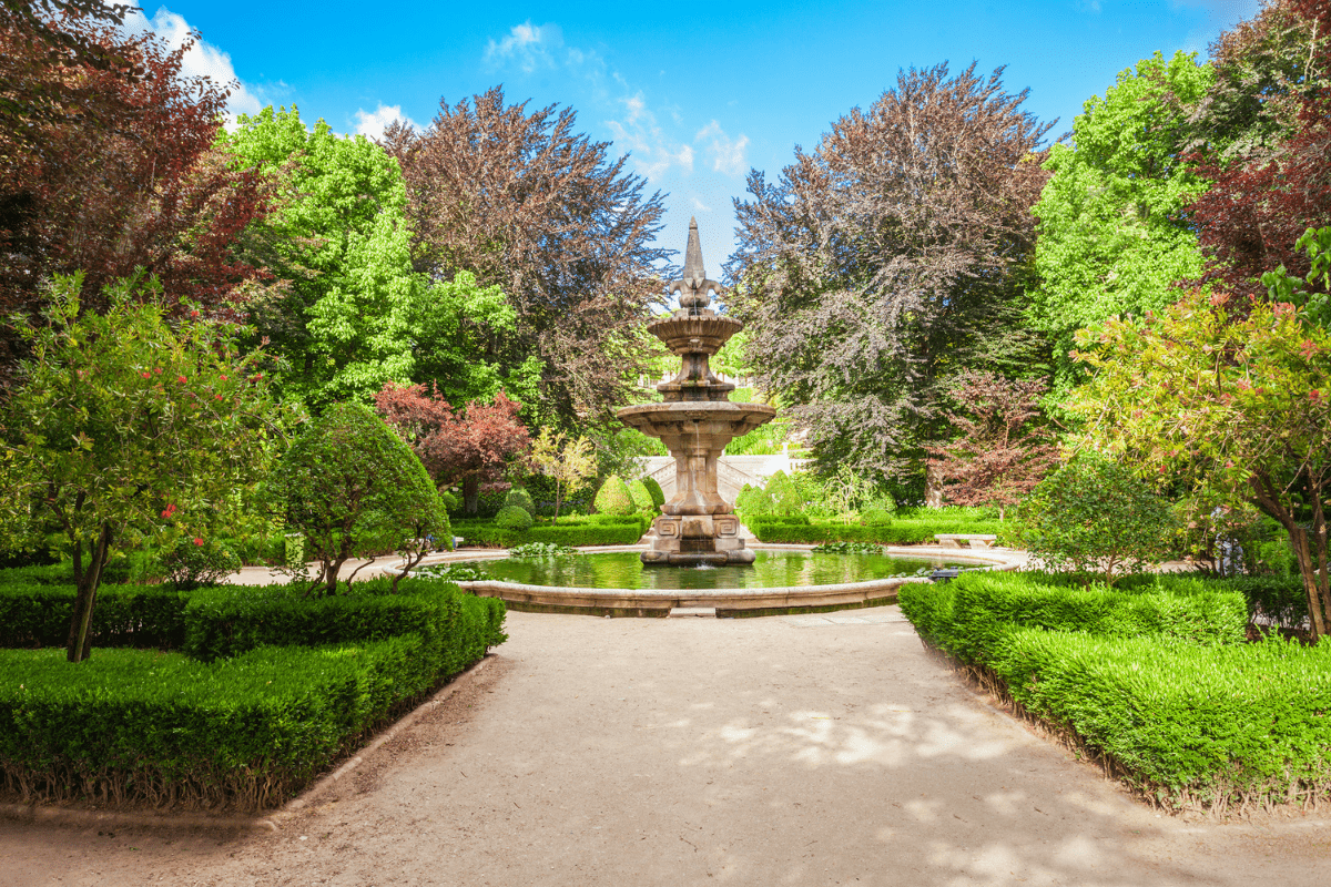 O que fazer em Coimbra: Jardim Botânico de Coimbra