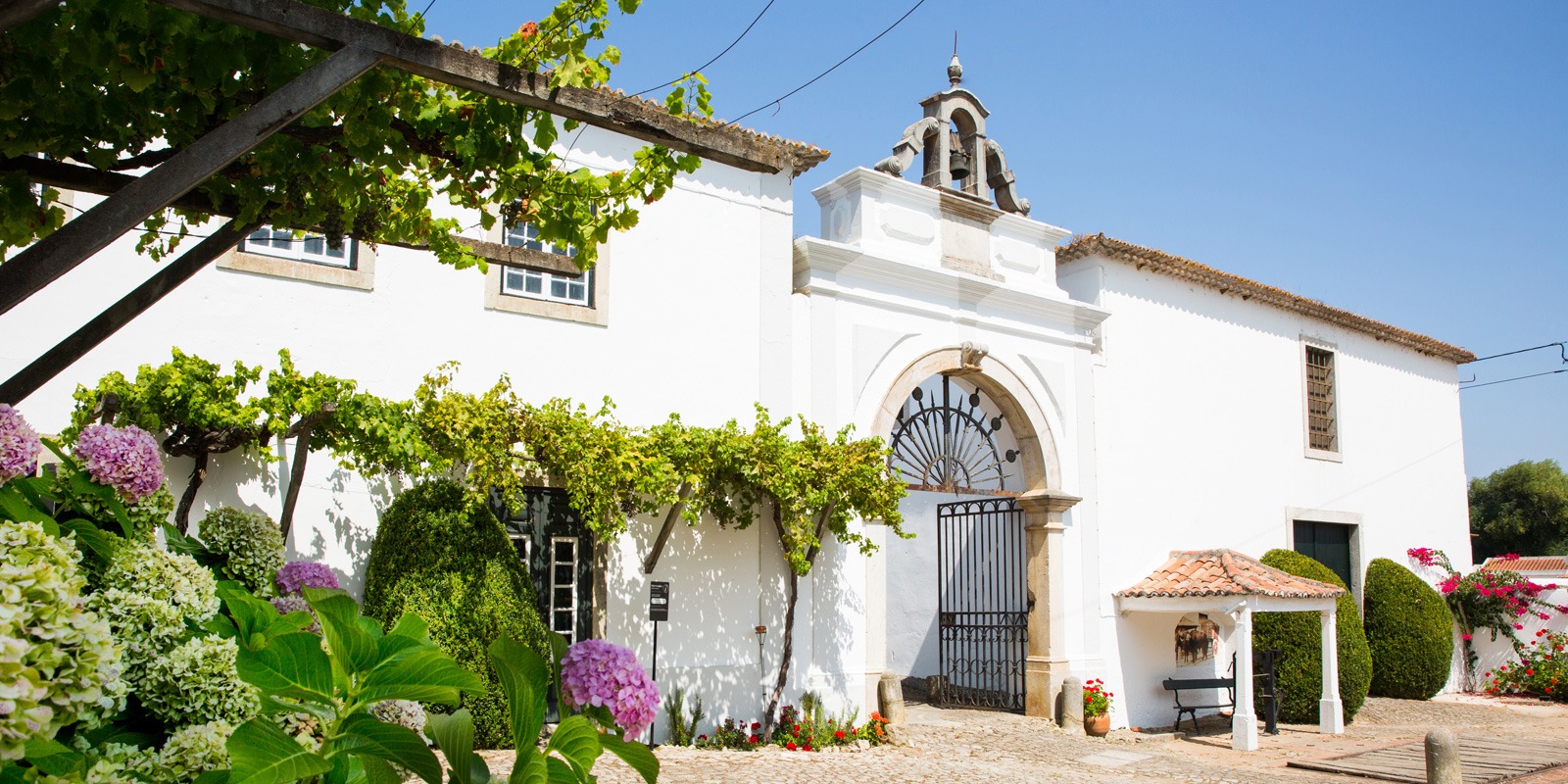 Vinhos em Portugal: Quinta do Sanguinhal