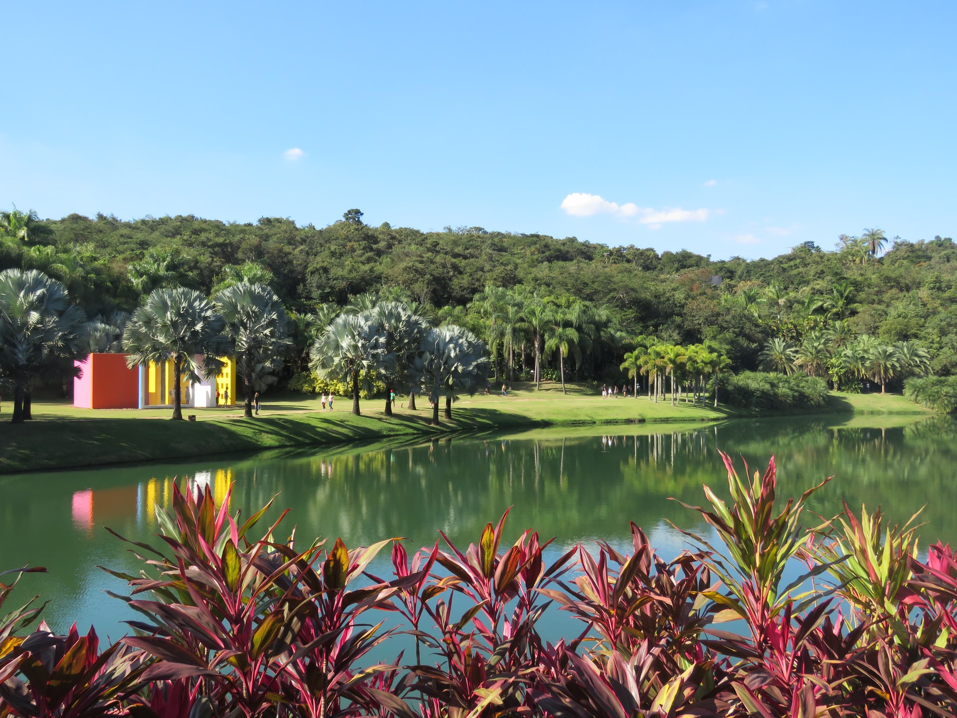 Instituto Inhotim em Minas Gerais