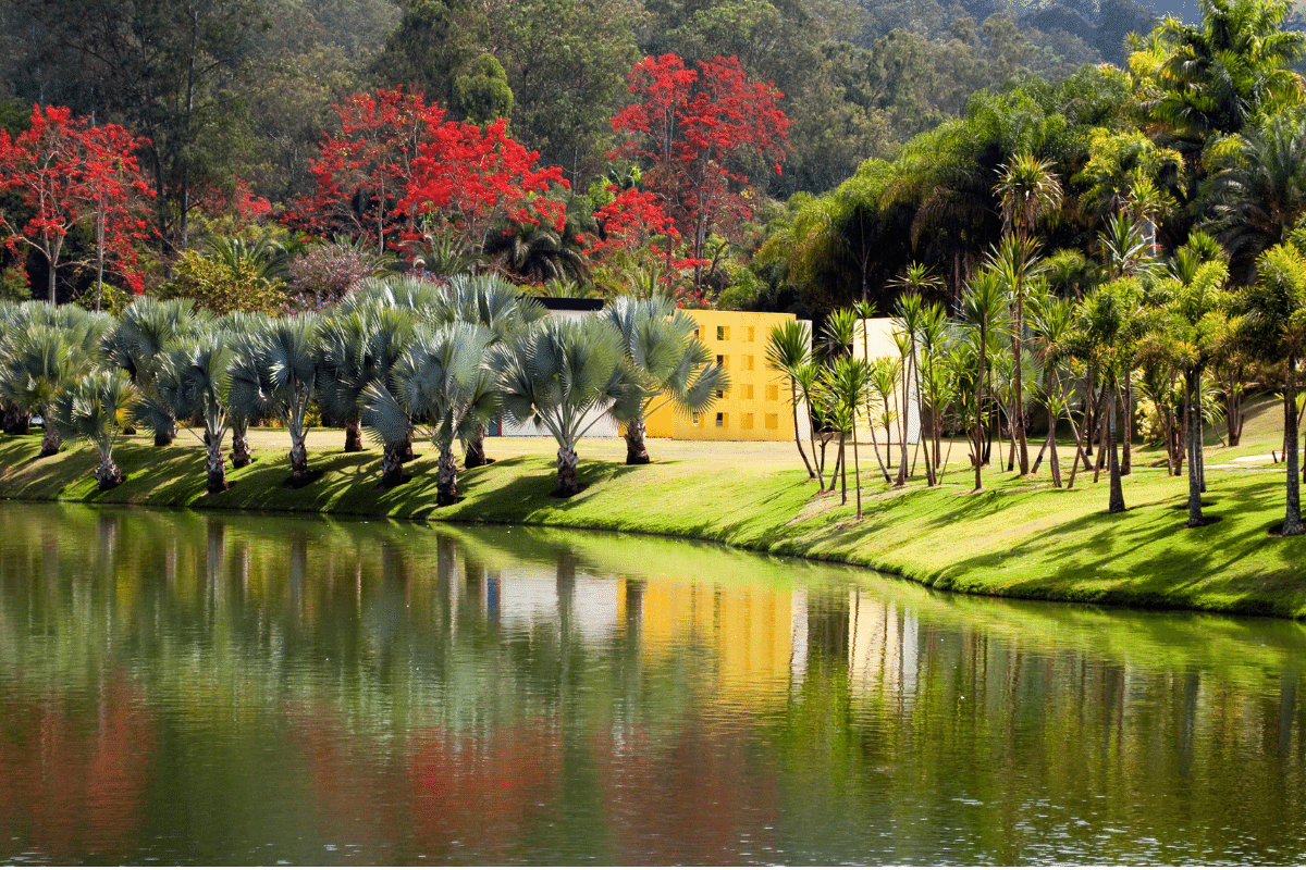 Instituto Inhotim, Minas Gerais