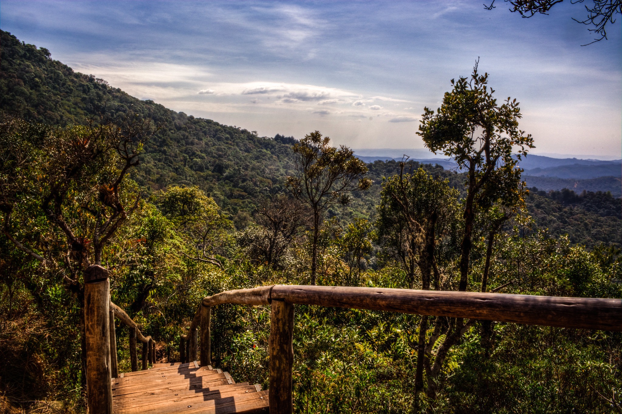 Trilha da Pedra Redonda em Monte Verde MG