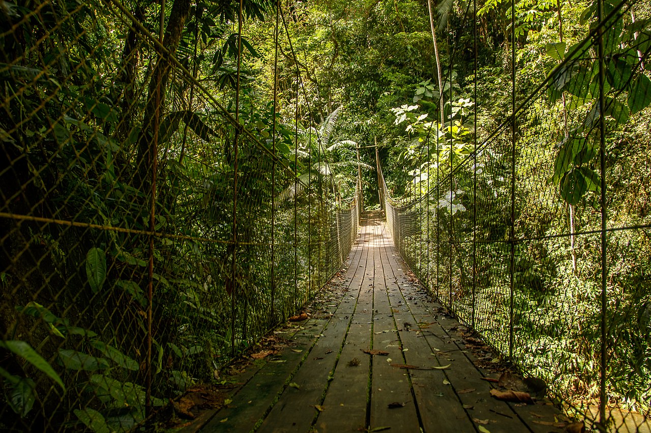 Trilha do Betari no Parque PETAR