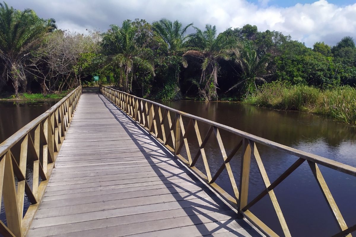 Parque Klaus Peters, na Mata de São João - Bahia