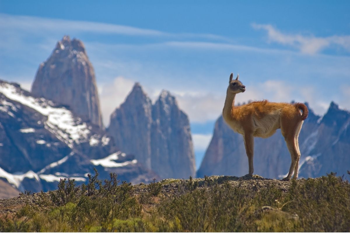 Países em que os brasileiros podem entrar sem passaporte: Chile