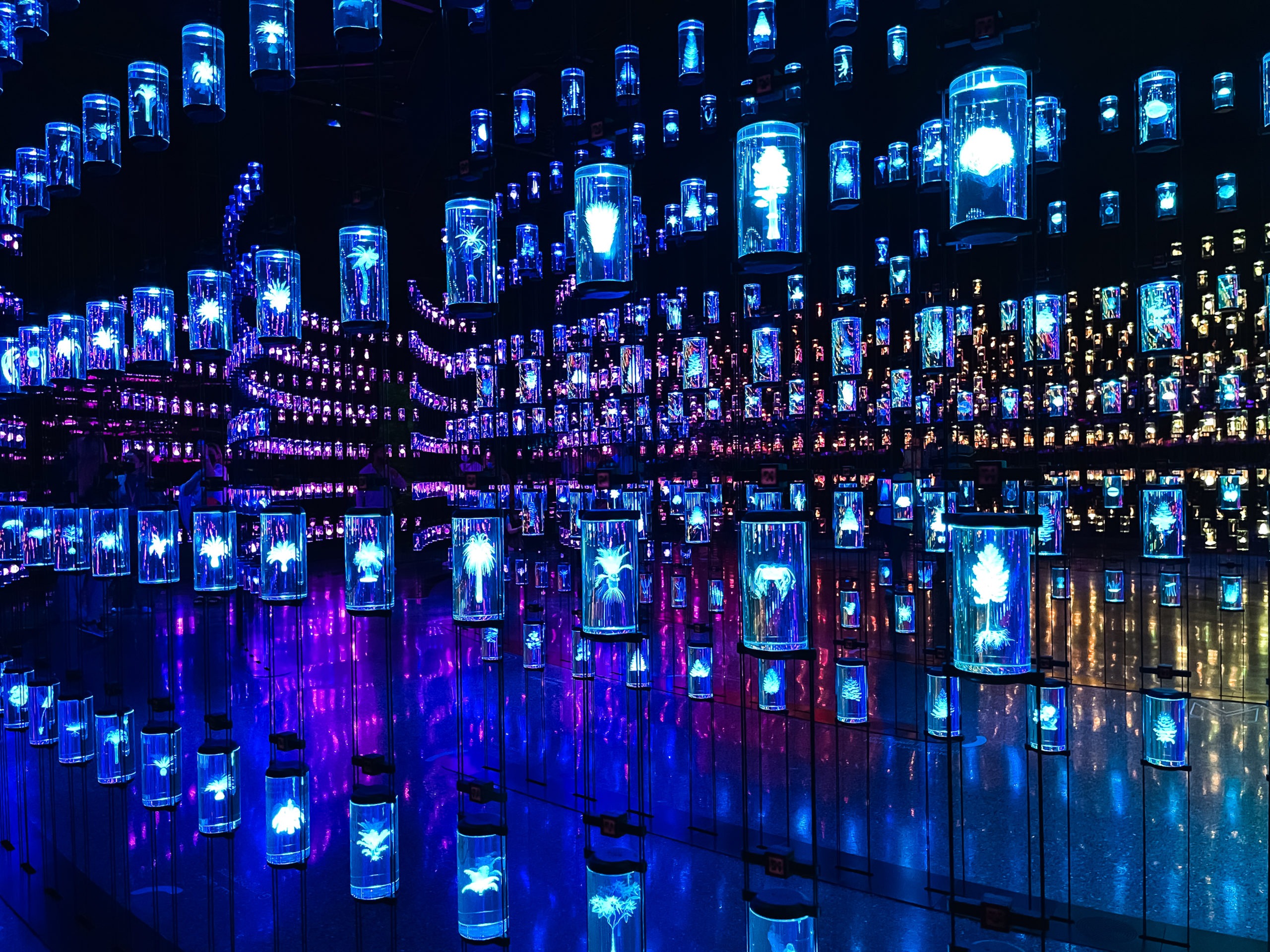 DNAs no Museu do Futuro, em Dubai