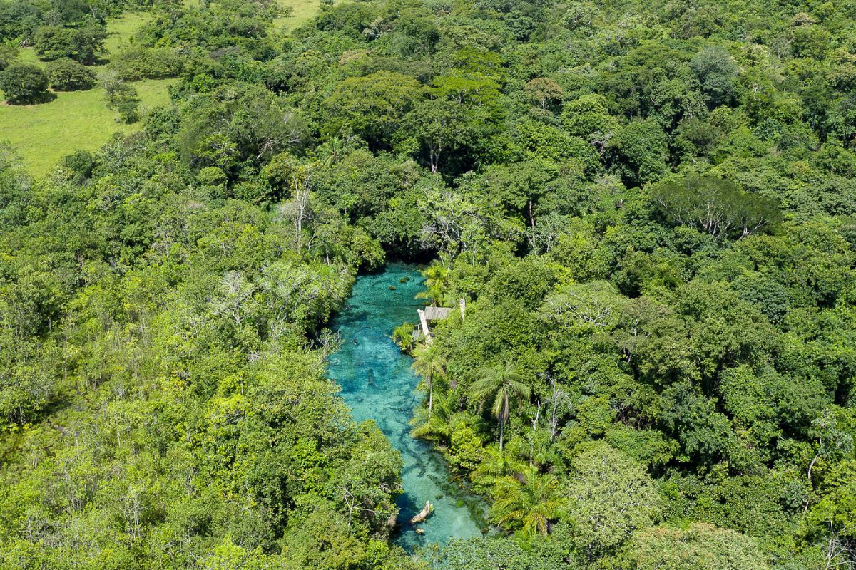 Imagem aérea da Nascente Azul, em Bonito