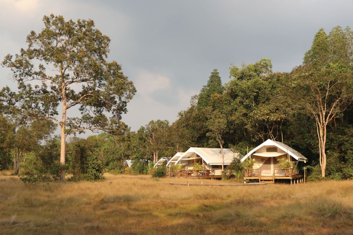 Acampamento de luxo nas Montanhas de Cardamomo