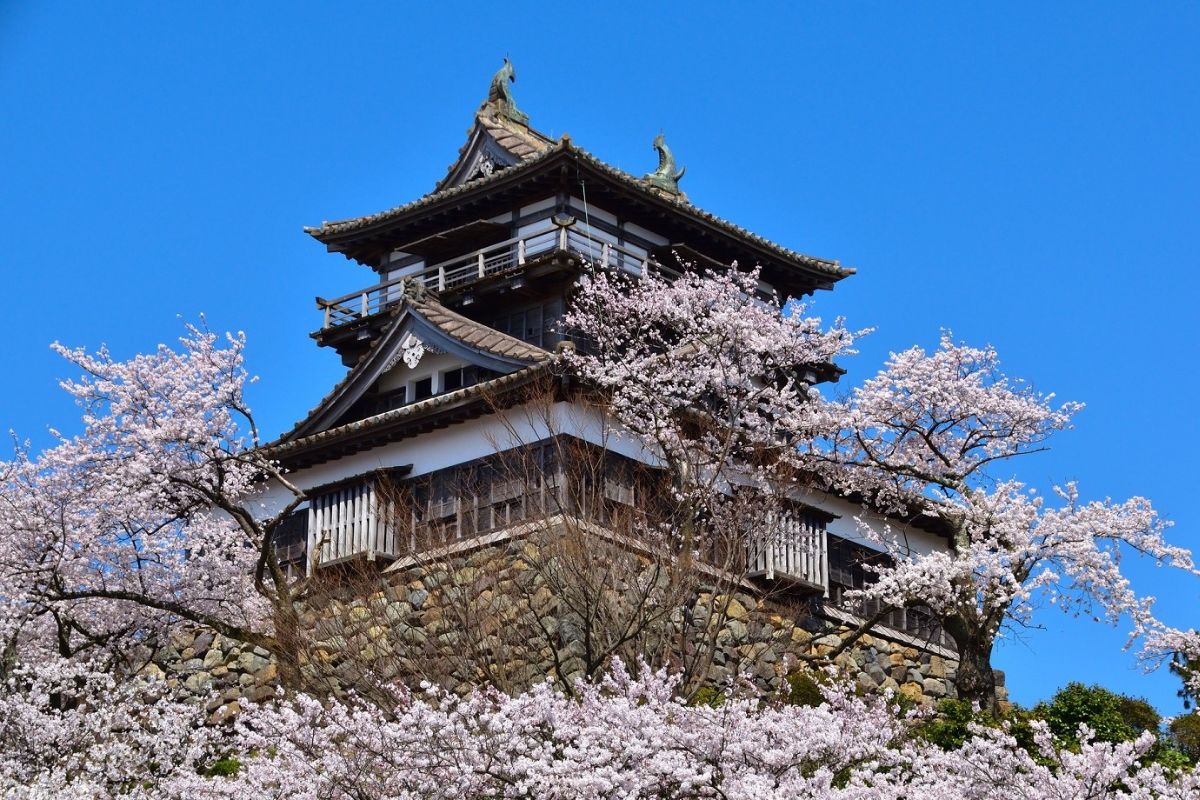 Exterior do Castelo de Maruoka, em Sakai, Japão