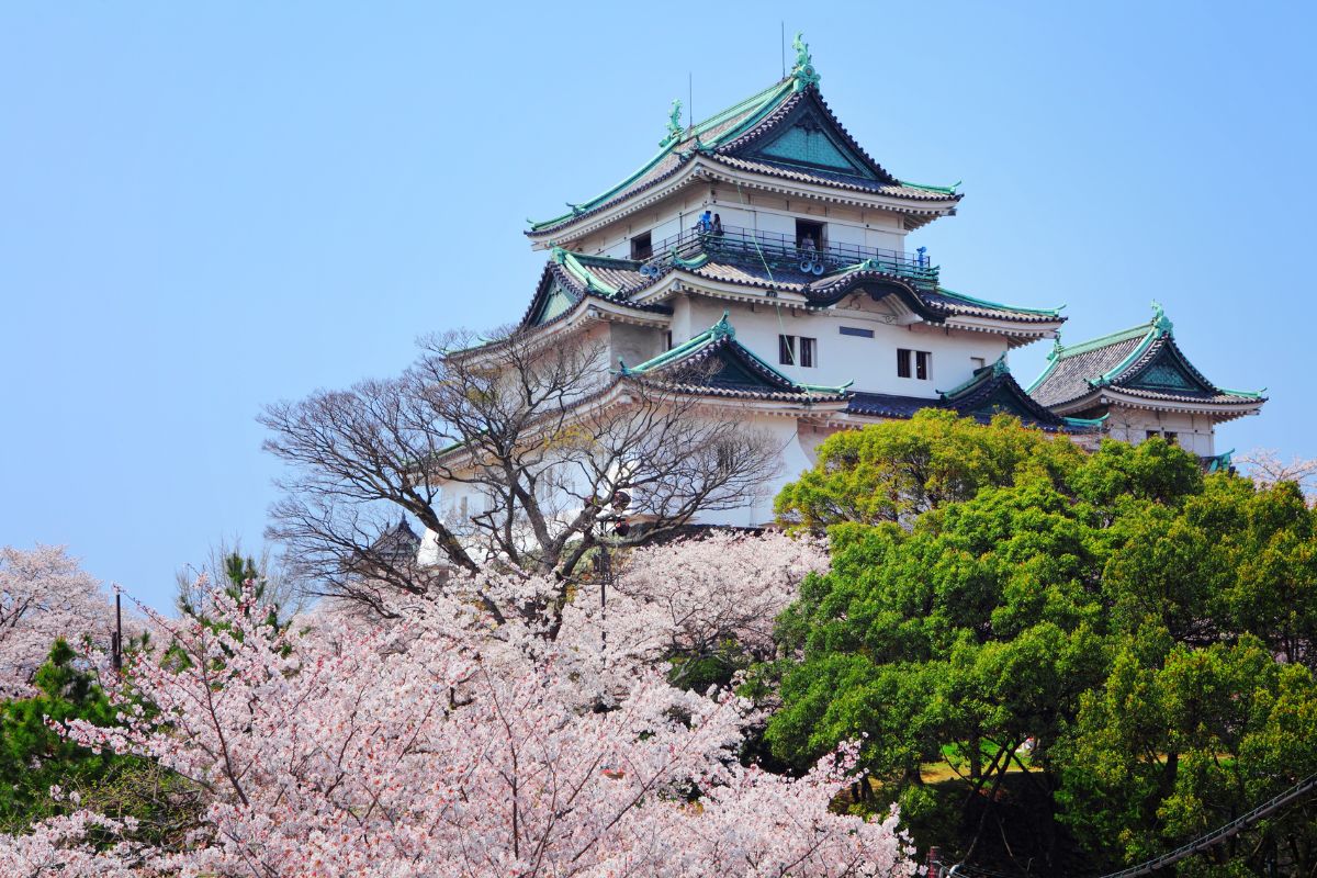 Castelo de Wakayama em cima de montanha, no Japão