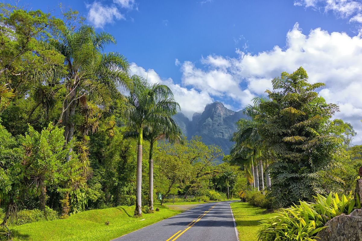 Trecho da Estrada da Graciosa