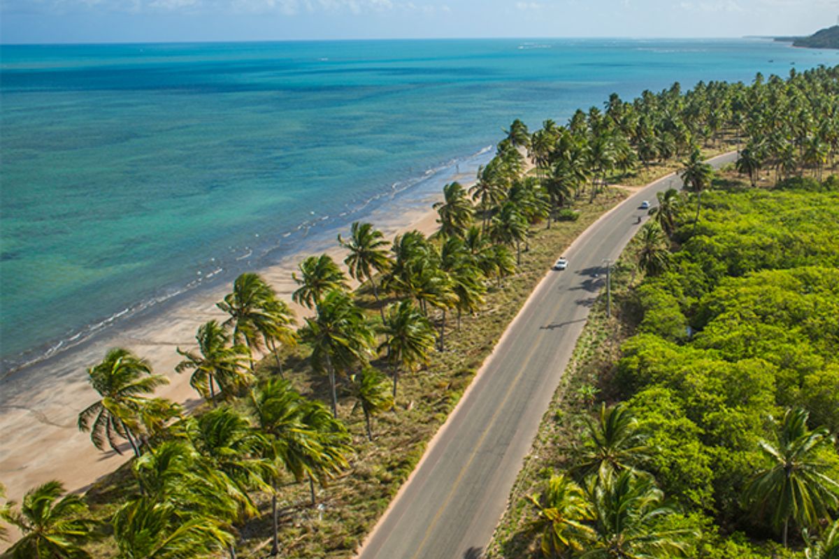 Panorama da estrada de Japaratinga, no Alagoas
