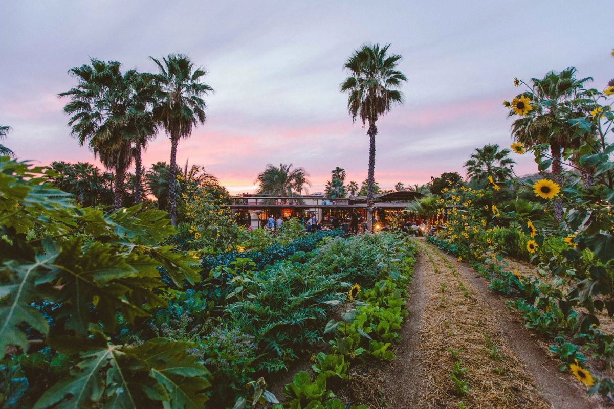 Restaurante Flora’s Field Kitchen, na Baja Califórnia Sur