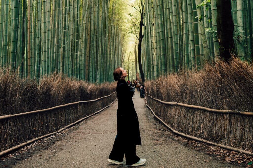 Floresta de Bambus de Arashiyama