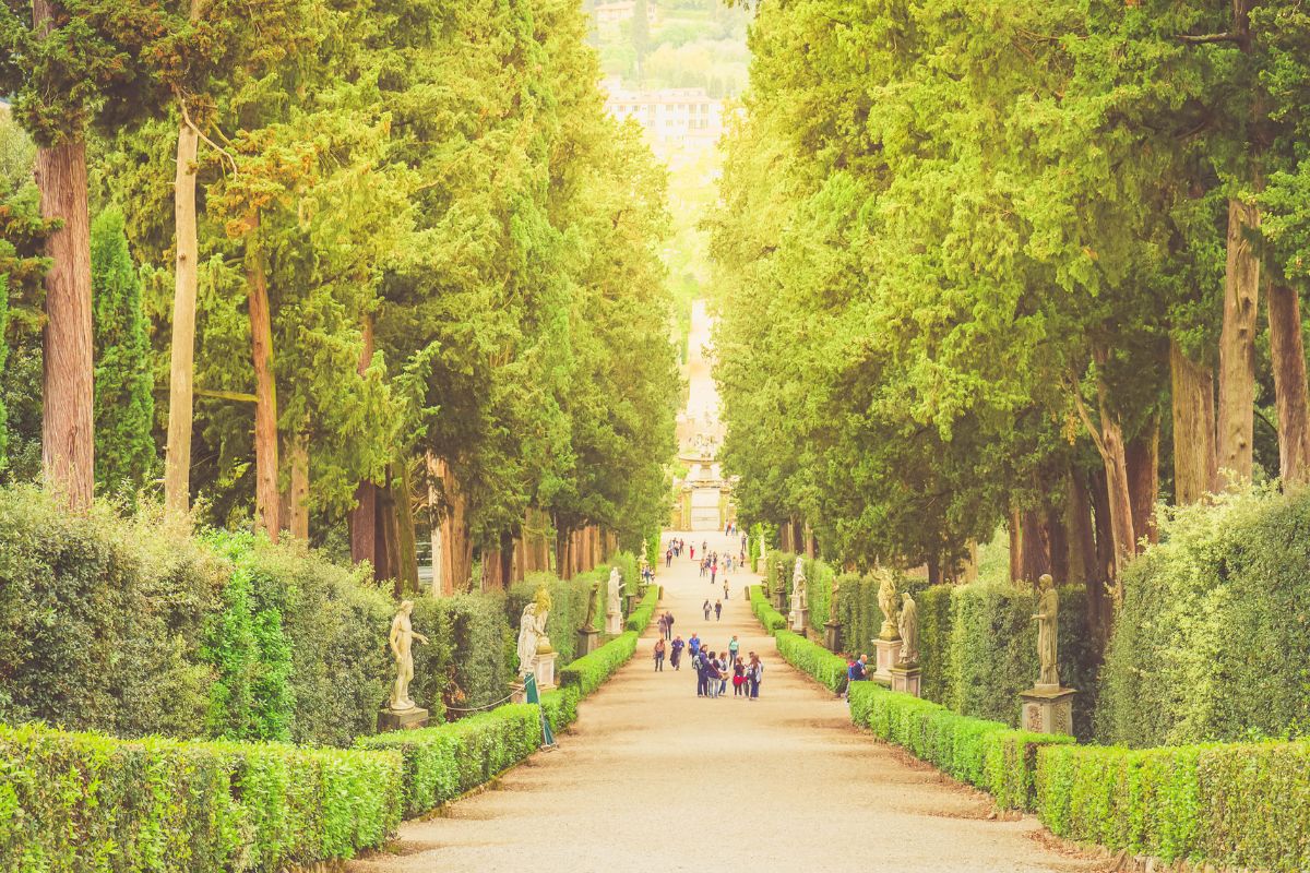 Bosque do Giardino di Boboli em Florença