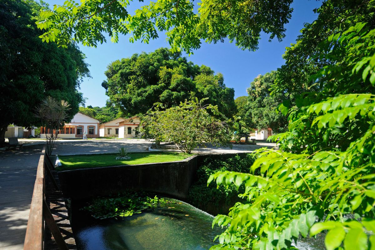 Área verde do Jardim Botânico de João Pessoa