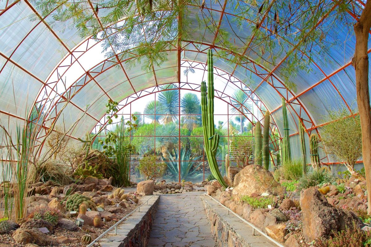 Estufa do Jardim Botânico de San Miguel de Allende