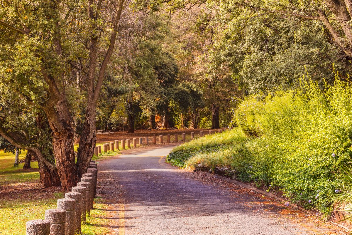 Trilha de corrida do Johannesburg Botanica Gardens