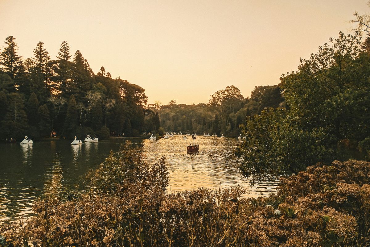 Pedalinhos no Lago Negro, em Gramado