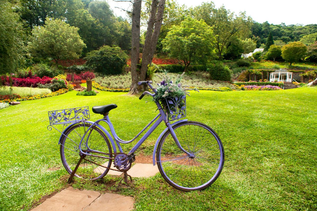Jardim do Le Jardin Parque de Lavanda, em Gramado
