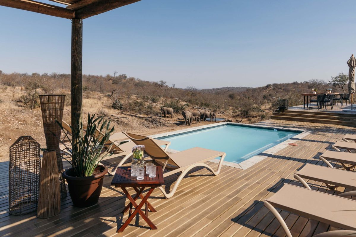 Piscina do lodge Isambane Bush Camp, na África do Sul