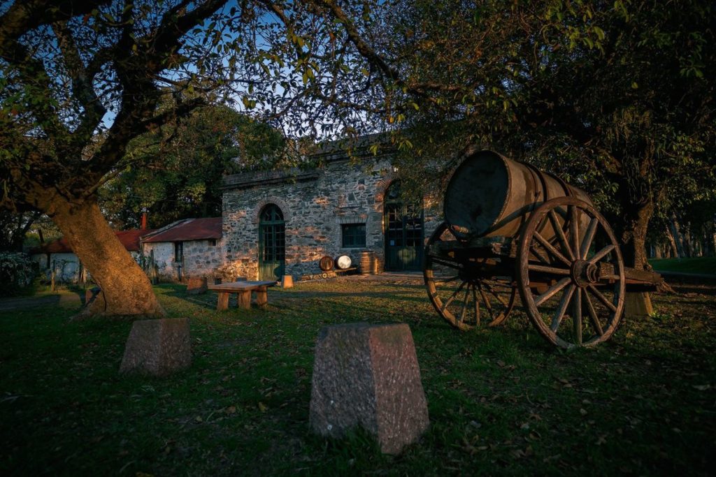 Vinícola Los Cerros de San Juan no Uruguai