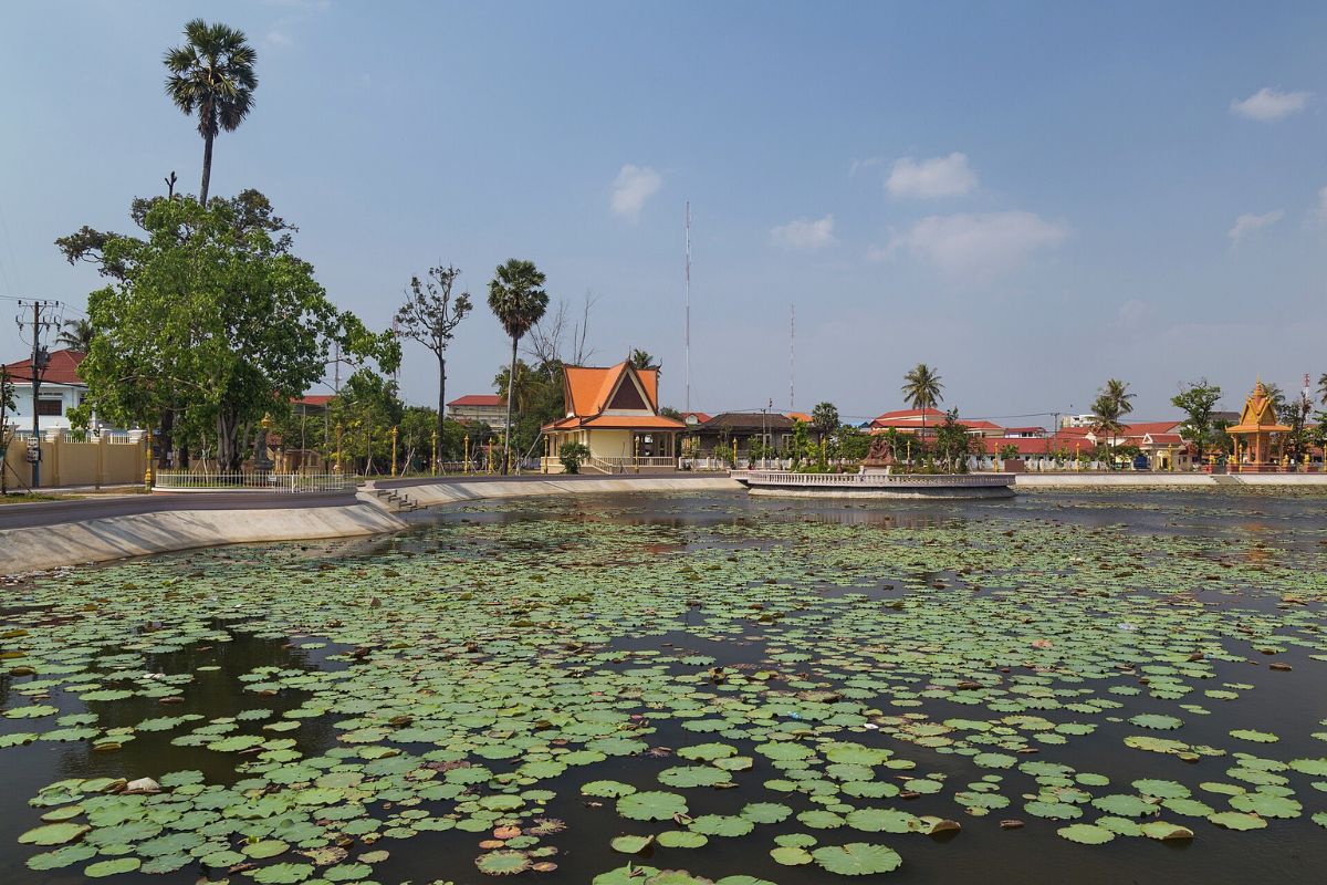 Flores de lótus no lago Lotus Pond, em Kampot