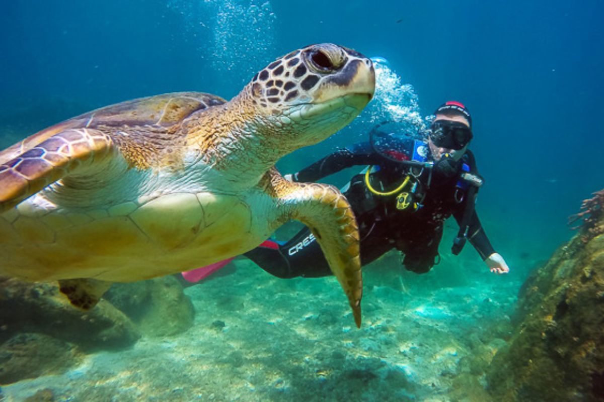 Mergulho de cilindro em Ilha Grande