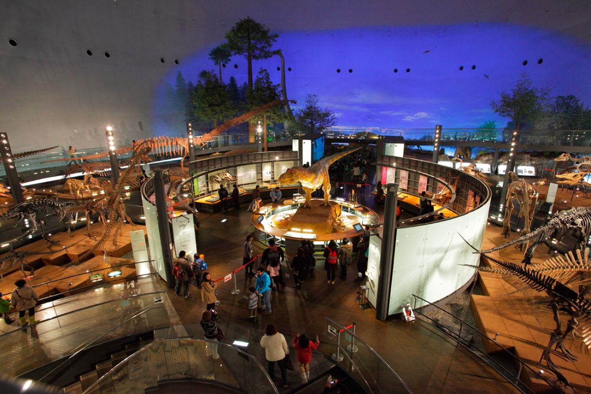 Sala de exposição do Museu do Dinossauro de Fukui