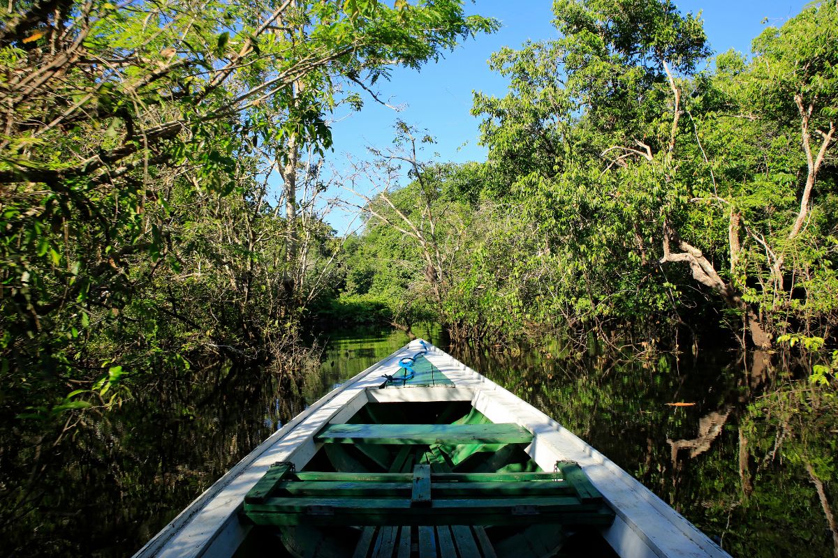Barco navegando pelos Igapós na Floresta Amazônica