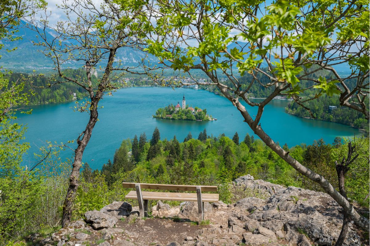 Ojstrica, Bled