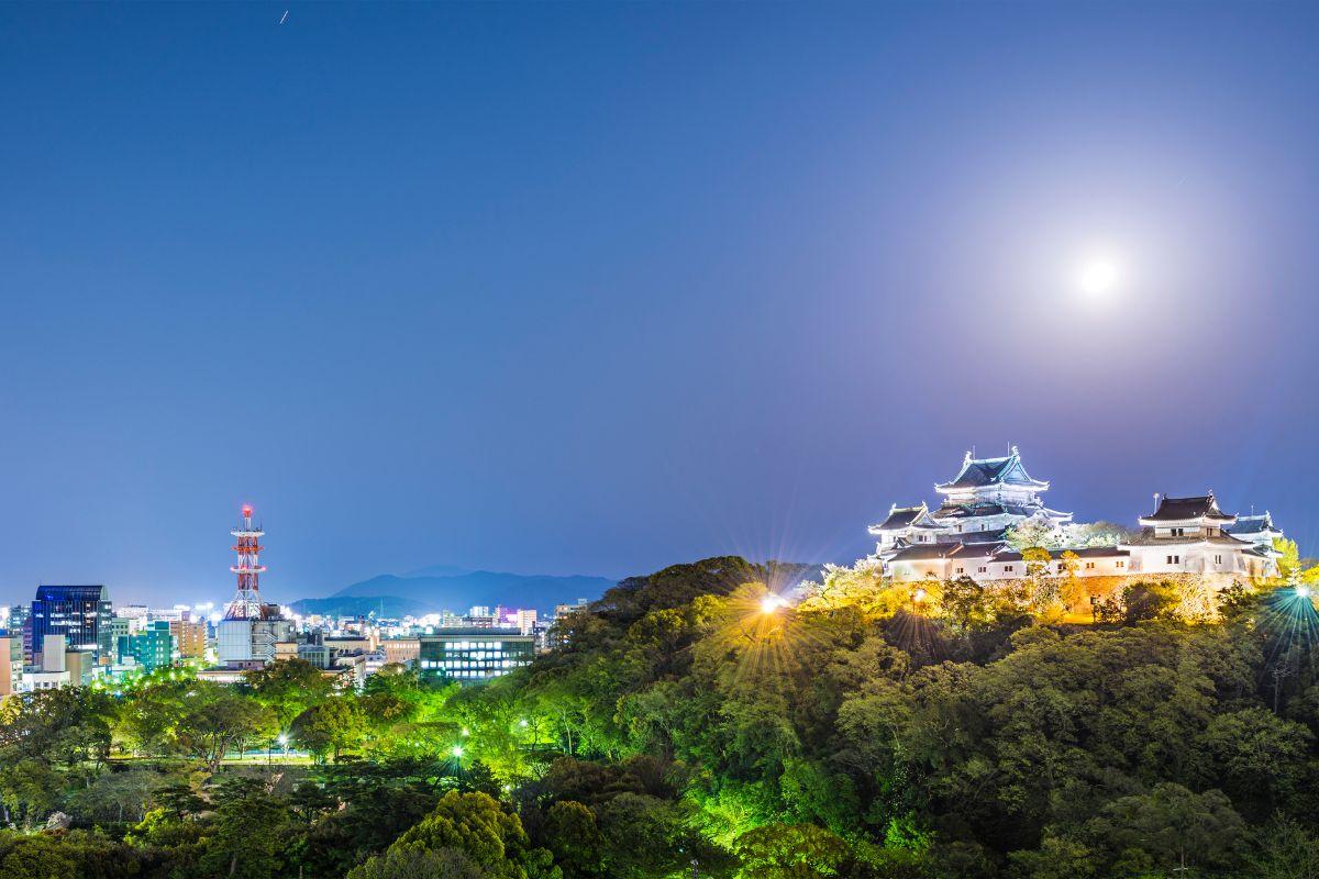 Panorama de Wakayama à noite com destaque para o castelo