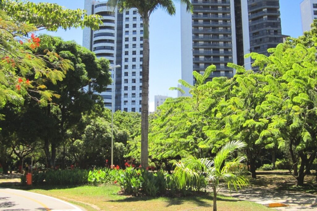 Parque da Jaqueira, na Zona Norte de Recife