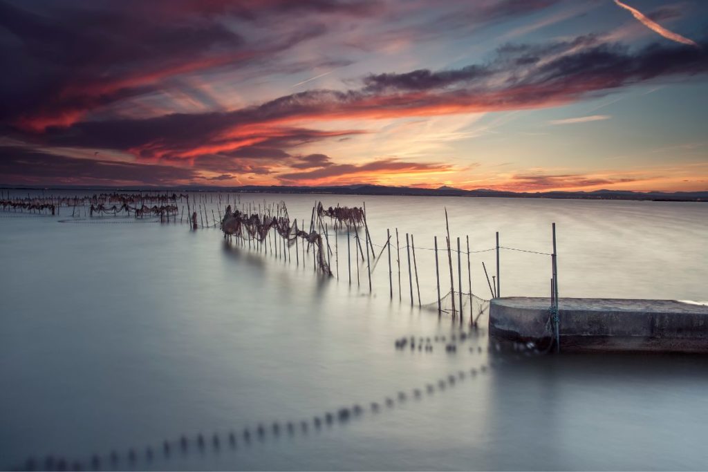 Parque Natural de la Albufera