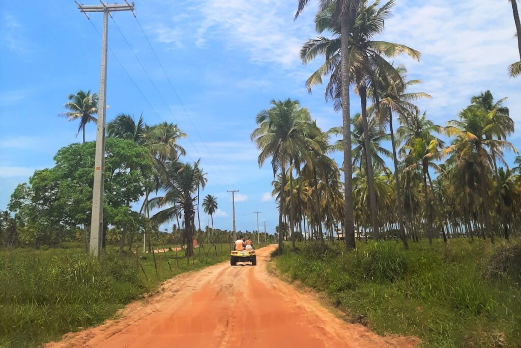 Passeio de buggy em São Miguel dos Milagres