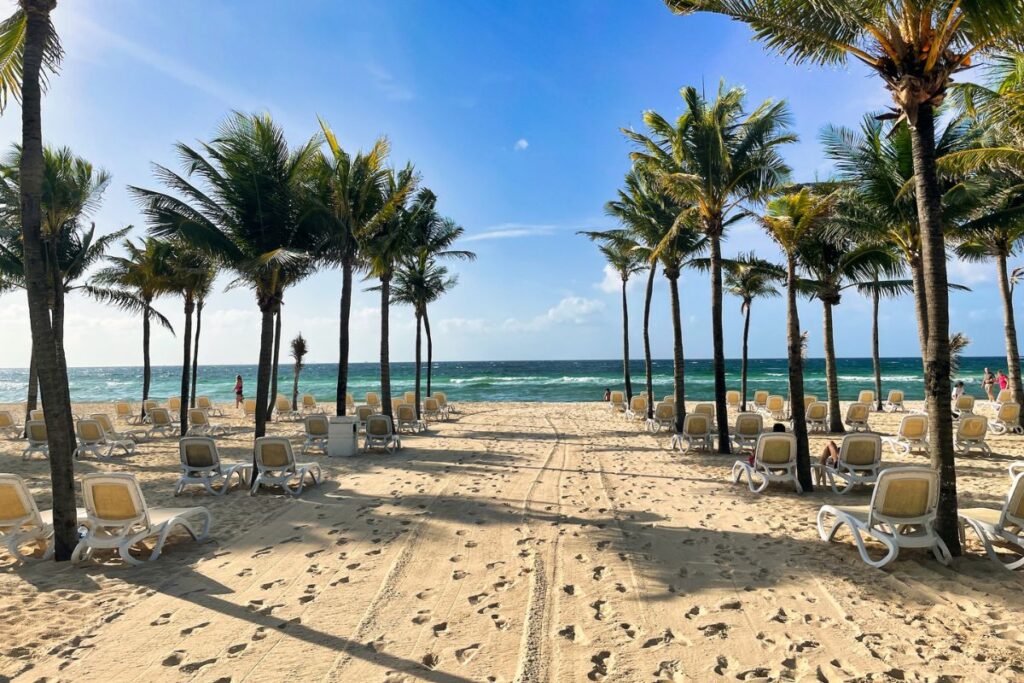 Cadeiras sob as palmeiras em Playa del Carmen, no México