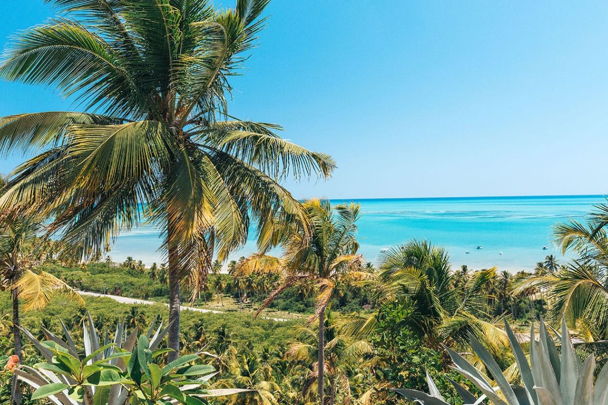 Panorama da Praia de Japaratinga, Alagoas