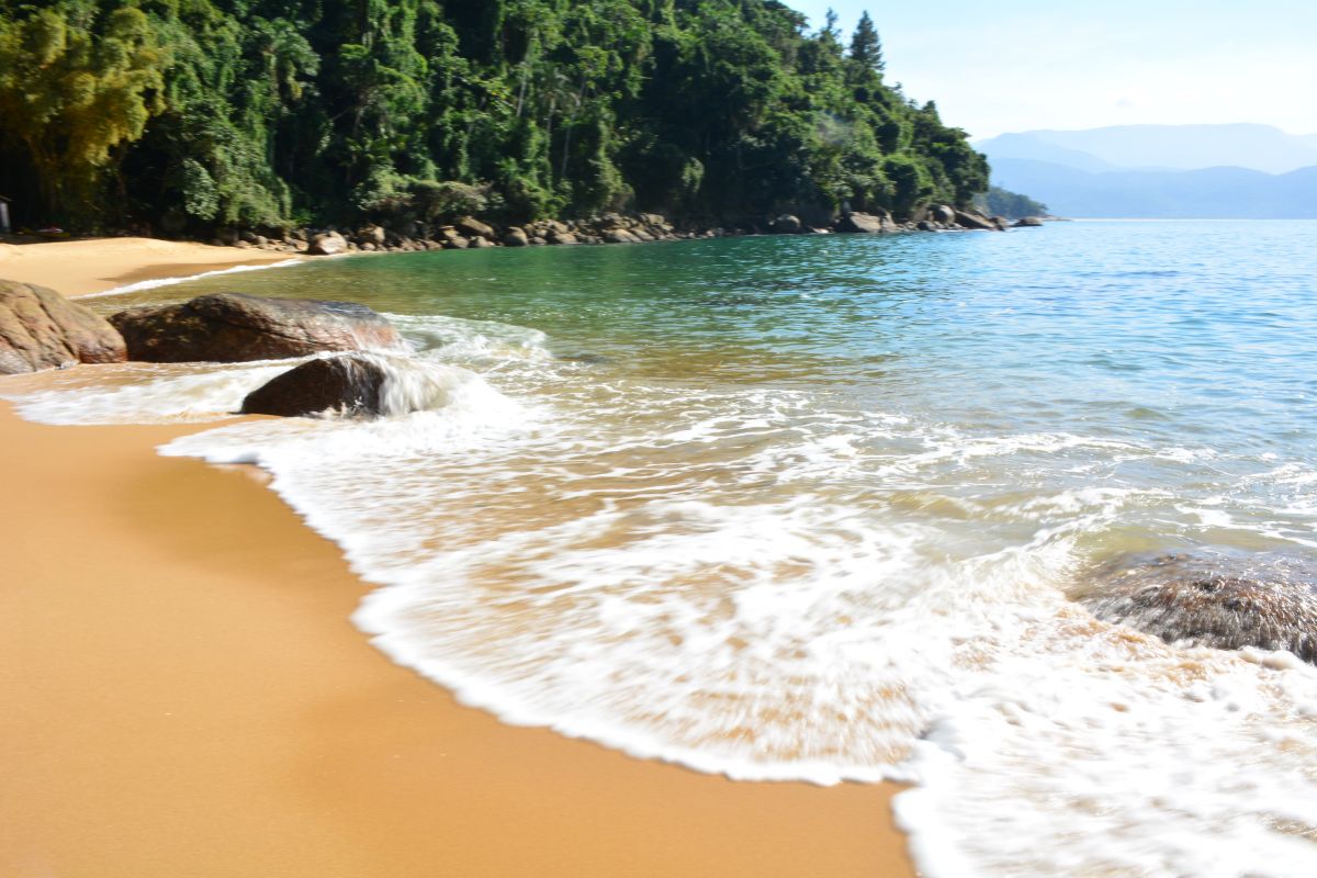 Praia do Cedro, em Ubatuba, com águas esverdeadas 
e cercada pela Mata Atlântica