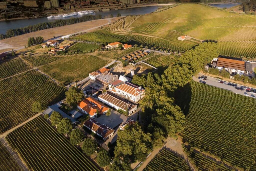 Vista aérea da vinícola Quinta da Pacheca