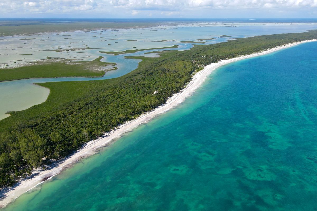 Imagem aérea da reserva de Sian Ka'an, em Tulum, que é possível notar a transparência da água do mar e os corais ao fundo